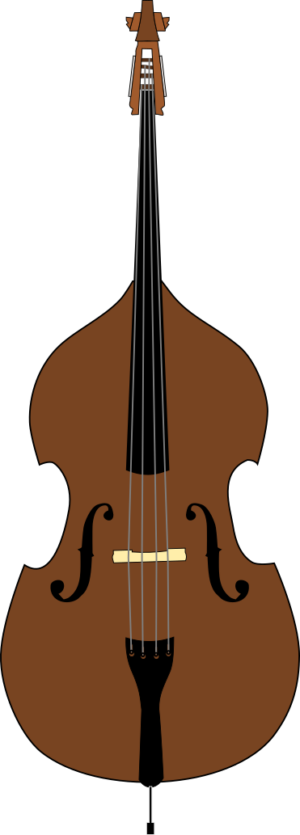 Kontrabass Workshop Student 2024